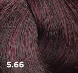 Baco Color Fast 100ml - 10-minute Permanent Colour