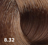 Baco Color Fast 100ml - 10-minute Permanent Colour