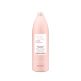 Alfaparf Lisse Design Maintenance Shampoo 1000ml