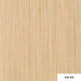 Angel Extensions Regular 4x0.9cm Tapes 10pk - 24"/60cm