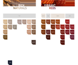 Wella Koleston Perfect Me+ - Special Blondes 60g